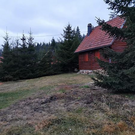 Vila Tijana Mitrovac Kültér fotó