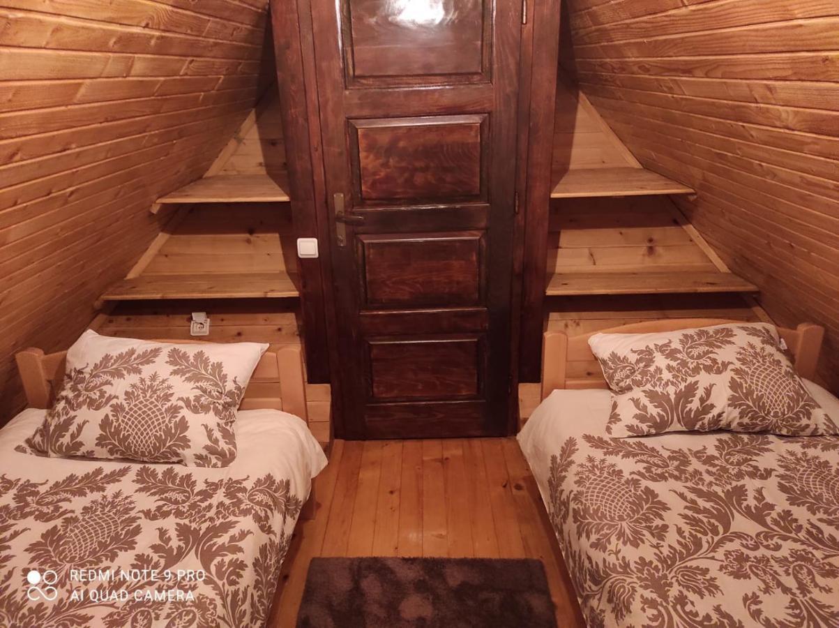 Vila Tijana Mitrovac Kültér fotó