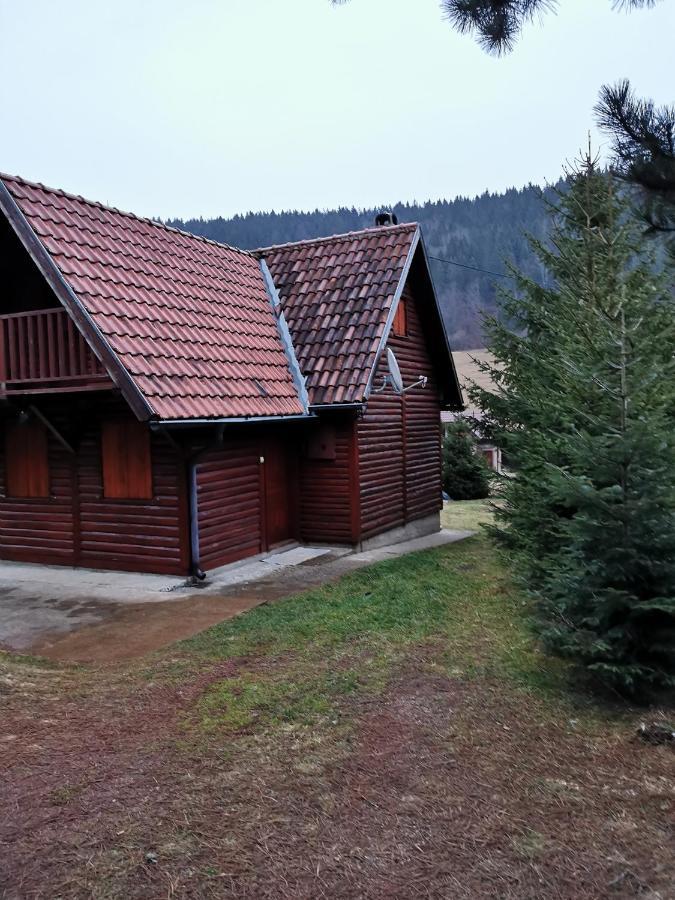 Vila Tijana Mitrovac Kültér fotó