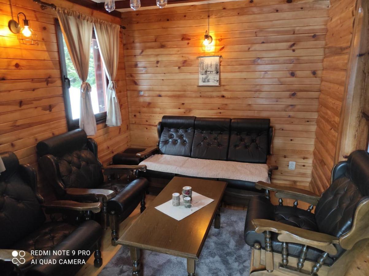 Vila Tijana Mitrovac Kültér fotó