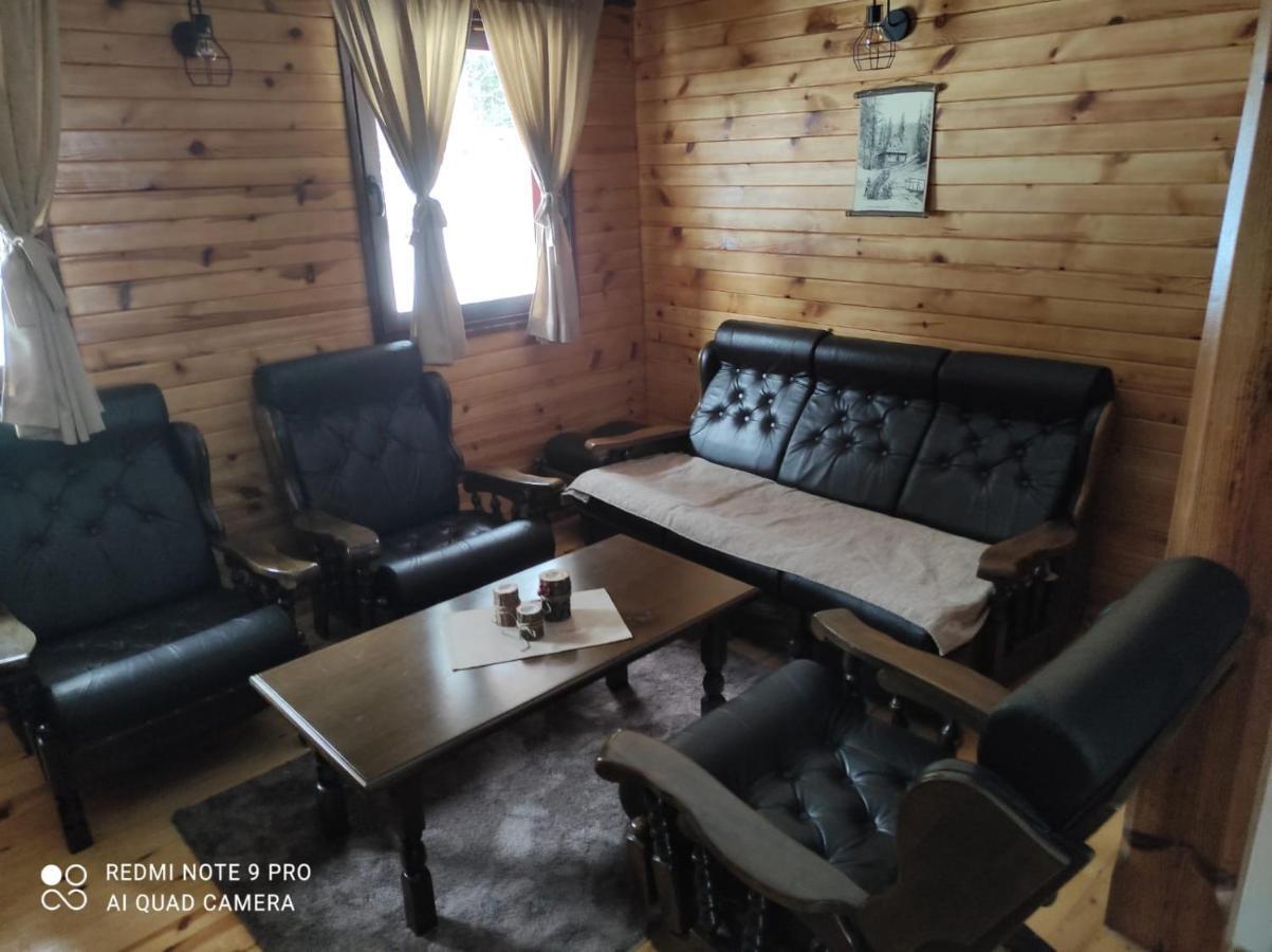 Vila Tijana Mitrovac Kültér fotó