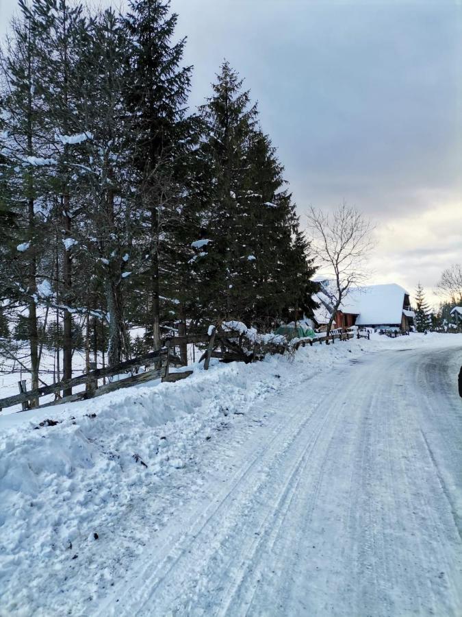 Vila Tijana Mitrovac Kültér fotó