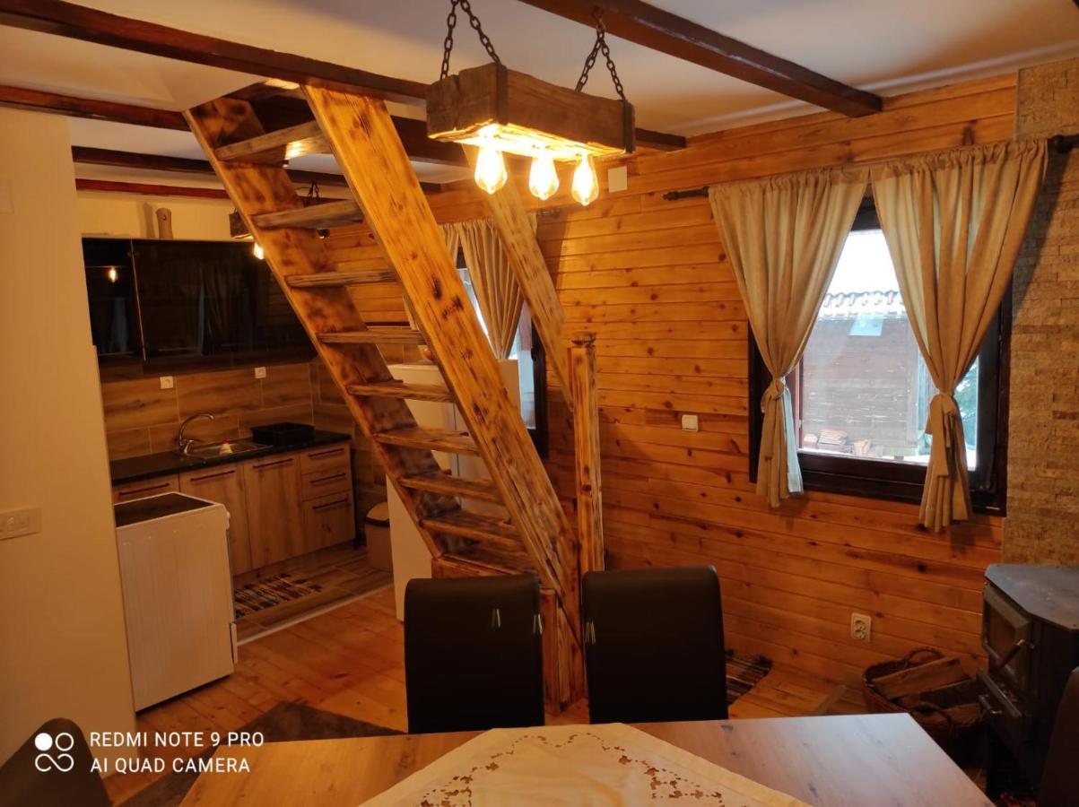 Vila Tijana Mitrovac Kültér fotó