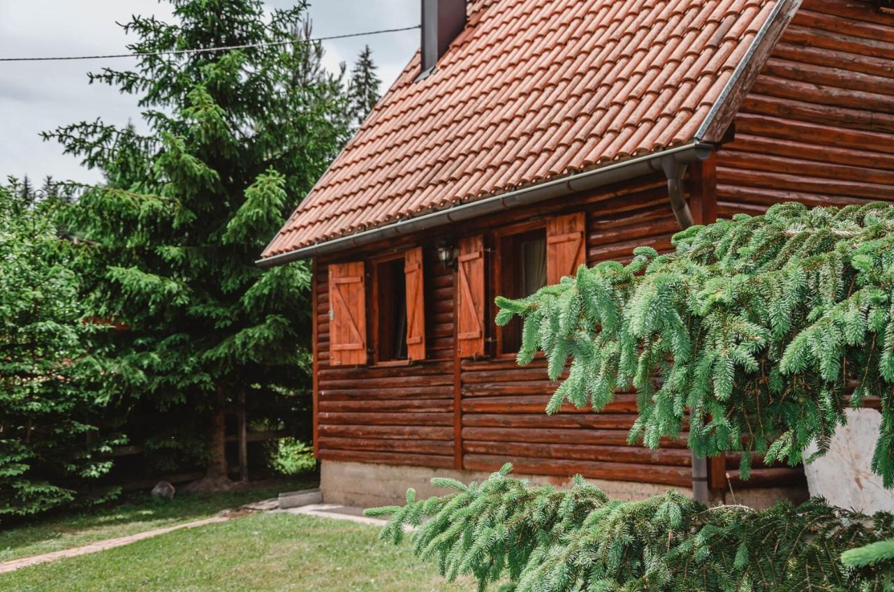 Vila Tijana Mitrovac Kültér fotó